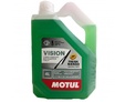 MOTUL VISION FRESH MANGO -27C° - 4 л.: f9af7e690b513af334186f67572ac183